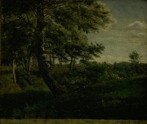 Ørsbjergskogen vid Aarup, Fyn av Dankvart Dreyer