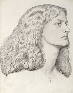 Annie Miller (penna och bläck)