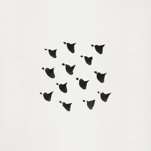Sammanfattning: Flockflygning av Danushka Abeygoda
