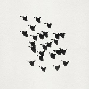 Minimalistisk fågelflygning av Danushka Abeygoda