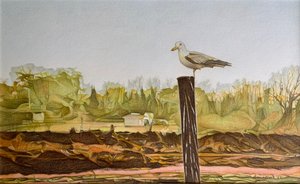 Lone Seagull, 2022 (blyerts på papper)