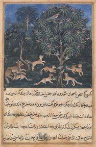 Sida från Tales of a Papegoja Tuti-nama: Femte natten: Papegojmamman varnar..., ca. 1560. av Daswanth