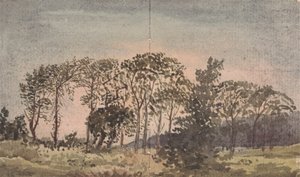 Landskap med träd