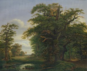 Ekträ, 1847 av David Christopher Mettlerkamp