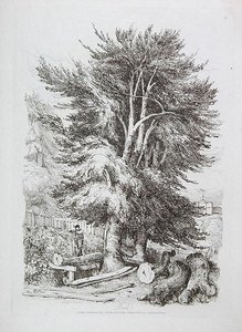 Bok nr. 18, illustration från Progressive Lessons on Landscape for Young Beginners, 1816 (mjuk markets etsning) av David Cox