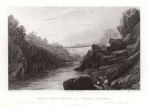 Gräsrepbron av David Cox