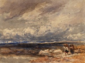 På Carrington Moss av David Cox