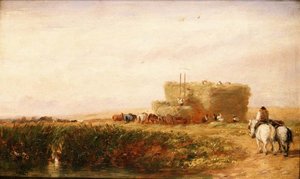 Höfältet av David Cox