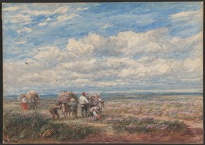 Ljung- eller ginstplockarna av David Cox