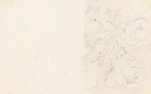 Träd [verso] av David Cox