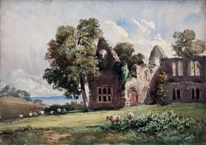 Förstörd Abbey och Sheep