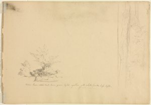 Landskaps- och trädstudier verso, c. 1851. av David Johnson