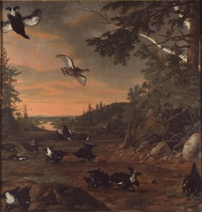 Orre på marken