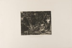 A Dell, Helmingham Park, Suffolk av David Lucas