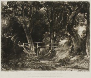 A Dell, Helmingham Park, Suffolk av David Lucas