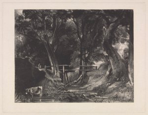 A Dell, Helmingham Park, Suffolk av David Lucas