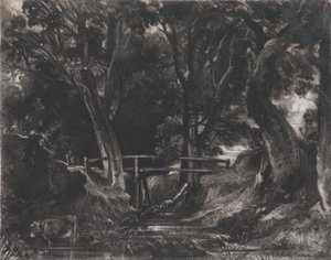 A Dell, Helmingham Park, Suffolk, 1830. av David Lucas