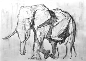African Bull Elephant, 2019 (kol på papper)