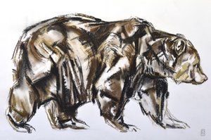 Brown Bear walking, 2012 (Pastell/Conte på papper)