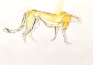 Cheetah, 2020 (Krita på papper)