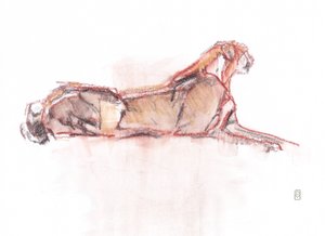 Cheetah alert, 2019 (krita/akvarell på papper) av David Mayer