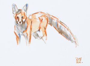 Red Fox, 2022 (olja på duk) av David Mayer