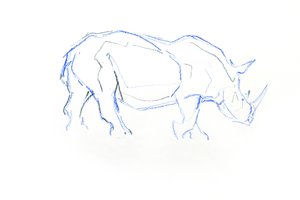 White Rhinoceros, 2020 (krita på papper) av David Mayer