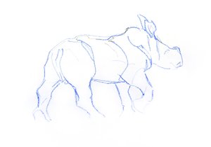 Vit noshörningkalv, 2020 (krita på papper) av David Mayer
