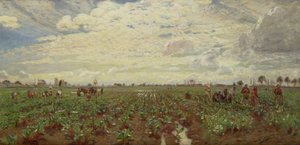 Fältarbetare, Holland, 1880-talet