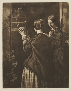 Fågelburen av David Octavius Hill