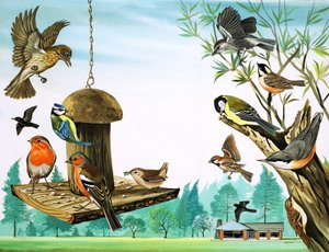 Alla möjliga fåglar runt trädgårdsbordet, illustration från "Once Upon a Time