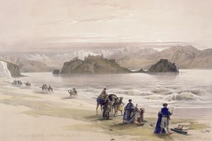 Isle of Graie, Gulf of Akabah, Arabia Petraea, 27 februari 1839, skylt 108 från volym III av 