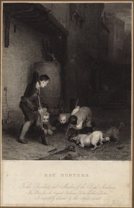 Råttjägare av David Wilkie