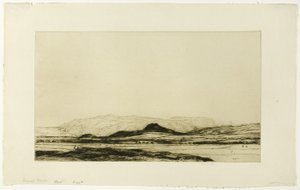 Dinnet Moor av David Young Cameron