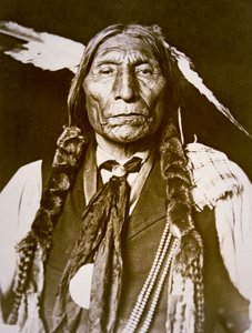 Wolf Robe (f. 1841) 1909 (s/v foto) av DeLancey W. Gill