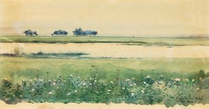 Landskap med myrar, 1898.
