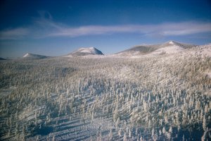 Sibirien i vinterlandskap över träsk och skogar täckta av snö

