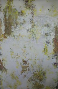 ”Distressed Earth” – Sammanfattning av Deb Chaney