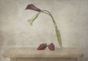 Calla-liljor och jordgubbar av Deborah Gugeri