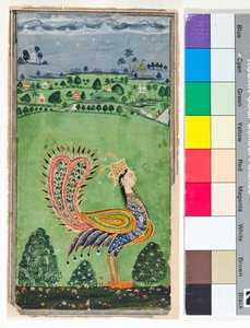 Mytisk påfågel med ett kvinnohuvud, ca 1750 (ogenomskinlig w/c och guld på papper)