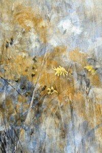 Abstrakta ängsblommor av Delphine Devos