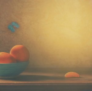 Citrusskål och fjäril av Delphine Devos