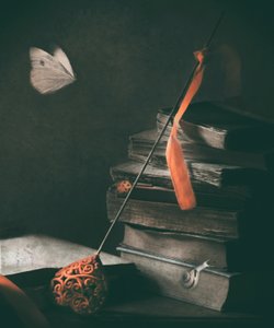 Dark Academia-fjäril