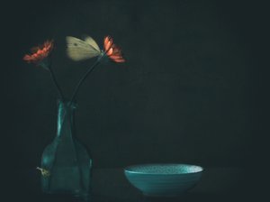 Mörk blommig fjäril av Delphine Devos