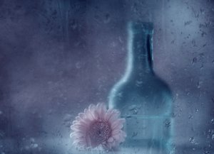 Drömmande regniga gerberor av Delphine Devos