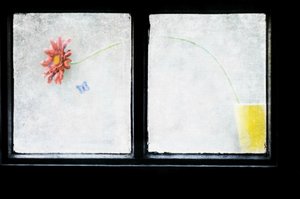 Stilleben med frostigt fönster av Delphine Devos
