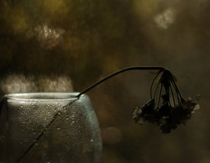 Melankolisk blomning av Delphine Devos