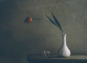 Stilleben med stämningsfulla tulpaner av Delphine Devos