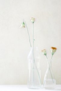 Blekblommor i glas av Delphine Devos
