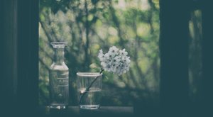 Fredliga fönsterblommor av Delphine Devos